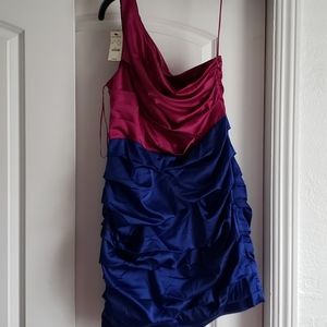 NWT EXPRESA DRESS